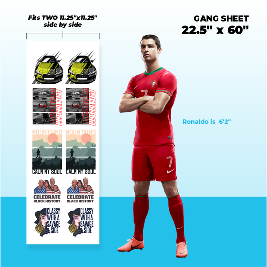 DTF Gang Sheet Transfers